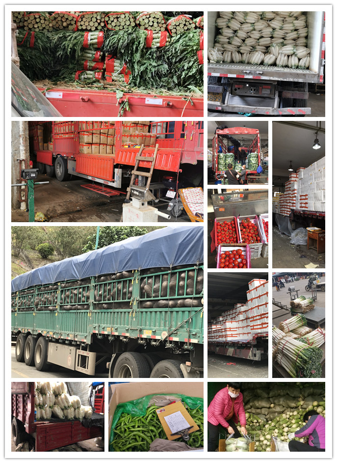 俄罗斯专享会294·VIP(中国区)官方网站