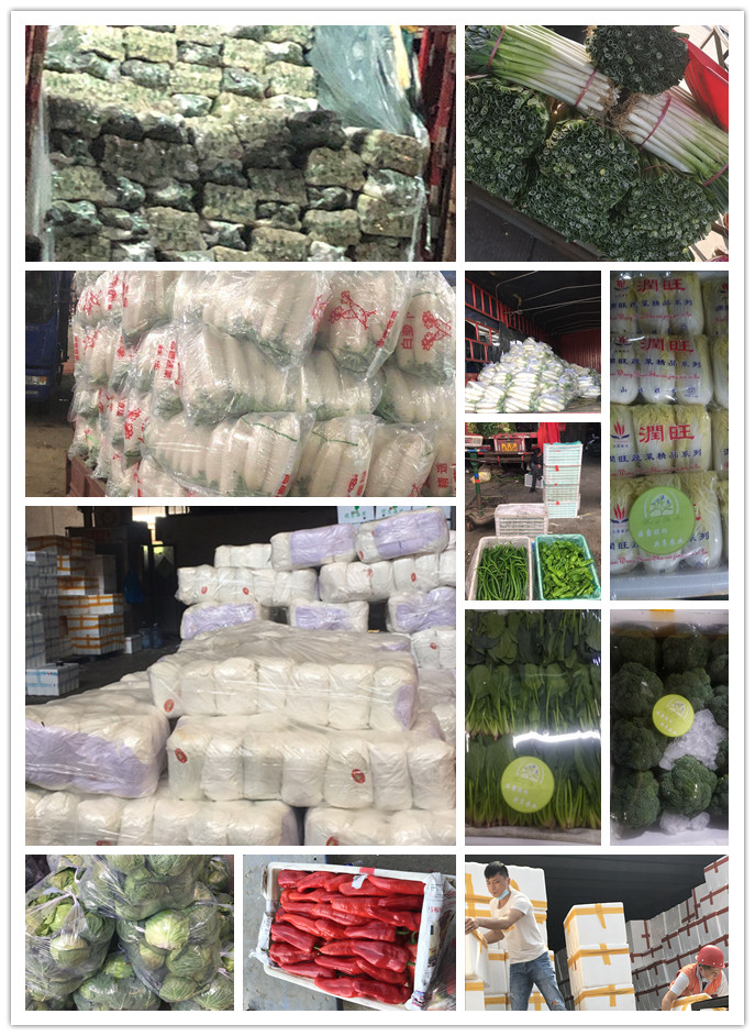 俄罗斯专享会294·VIP(中国区)官方网站