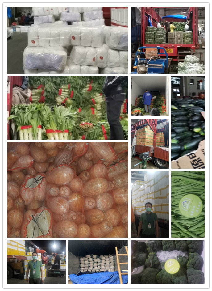 俄罗斯专享会294·VIP(中国区)官方网站