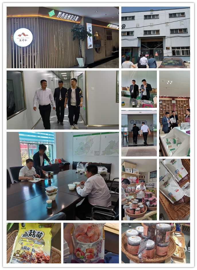 俄罗斯专享会294·VIP(中国区)官方网站