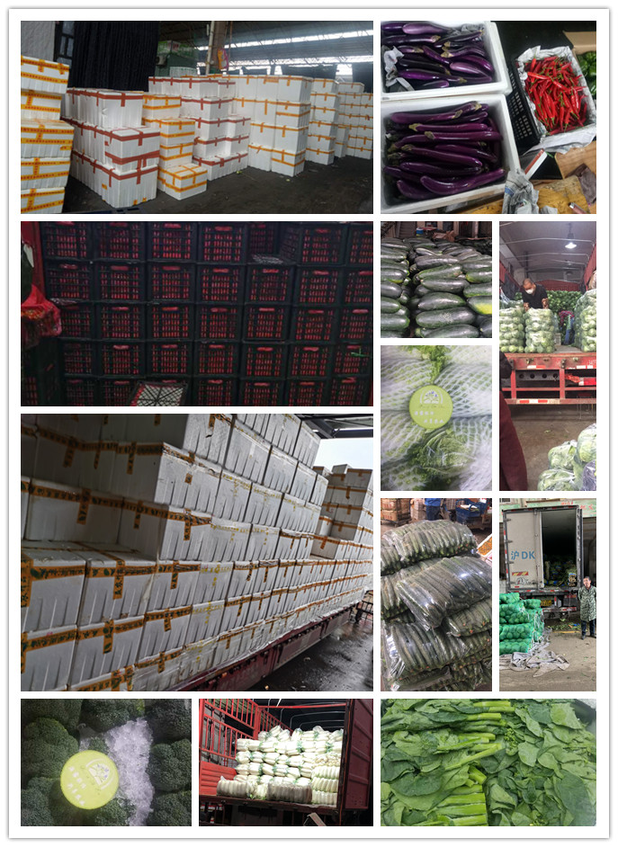 俄罗斯专享会294·VIP(中国区)官方网站