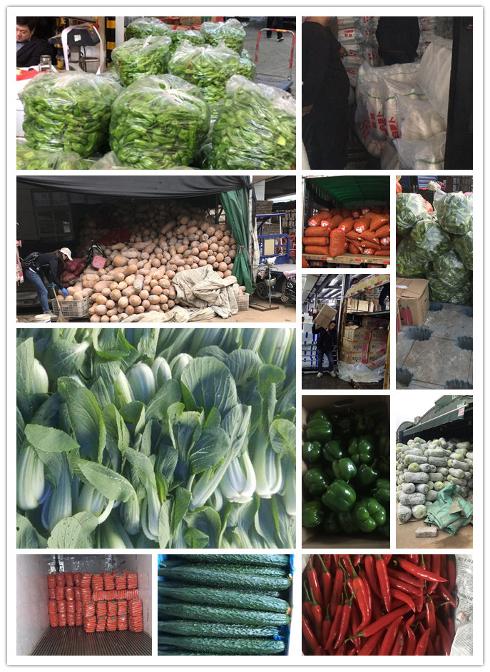 俄罗斯专享会294·VIP(中国区)官方网站