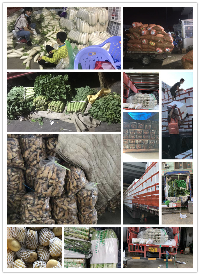 俄罗斯专享会294·VIP(中国区)官方网站