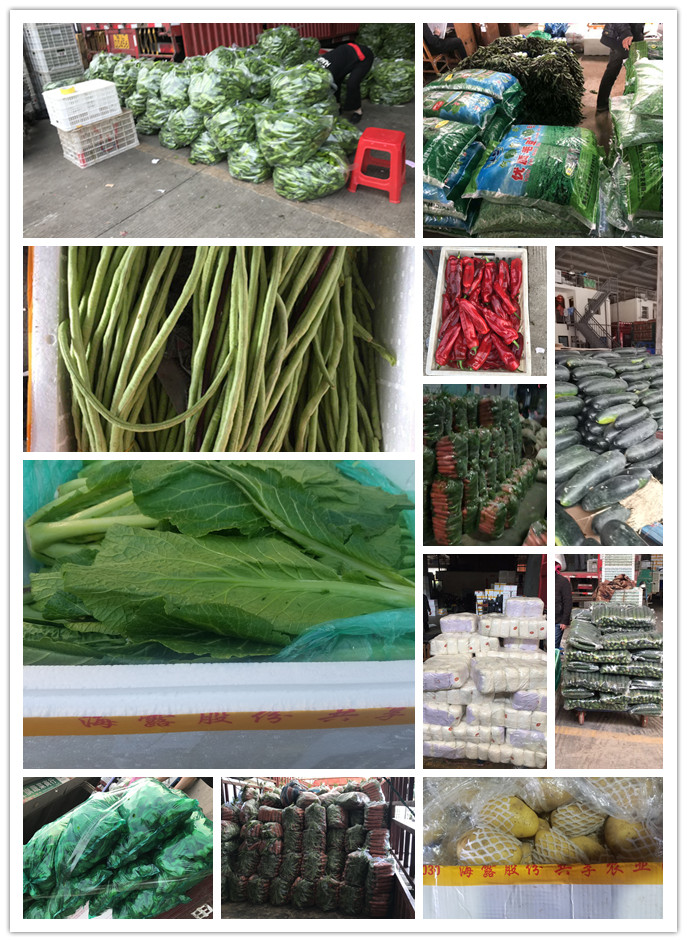 俄罗斯专享会294·VIP(中国区)官方网站