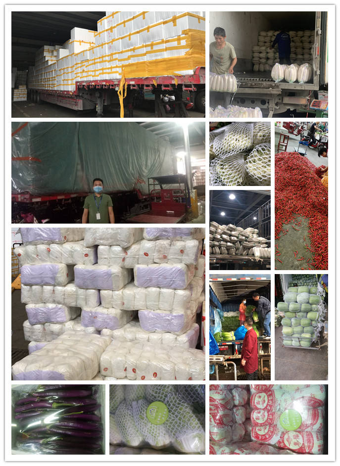 俄罗斯专享会294·VIP(中国区)官方网站