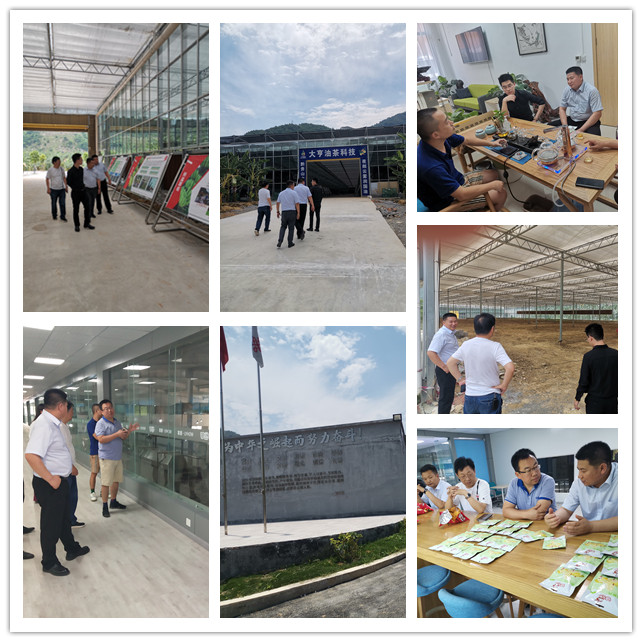 俄罗斯专享会294·VIP(中国区)官方网站