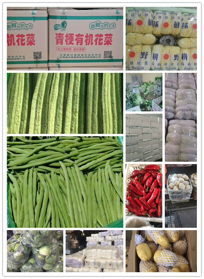 俄罗斯专享会294·VIP(中国区)官方网站