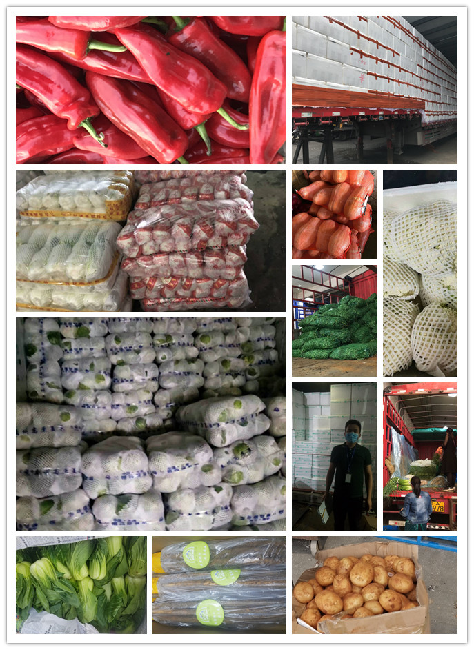 俄罗斯专享会294·VIP(中国区)官方网站