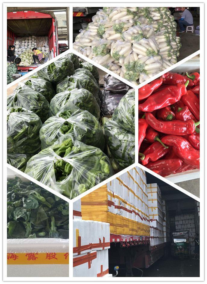 俄罗斯专享会294·VIP(中国区)官方网站