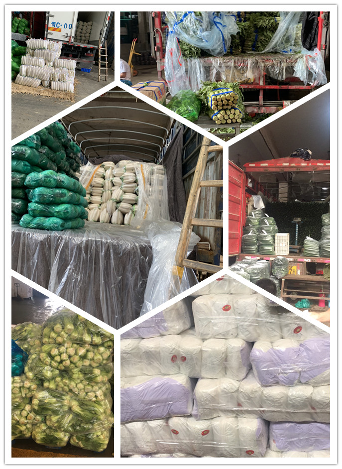 俄罗斯专享会294·VIP(中国区)官方网站