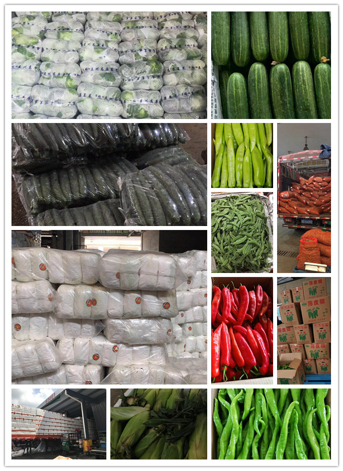 俄罗斯专享会294·VIP(中国区)官方网站