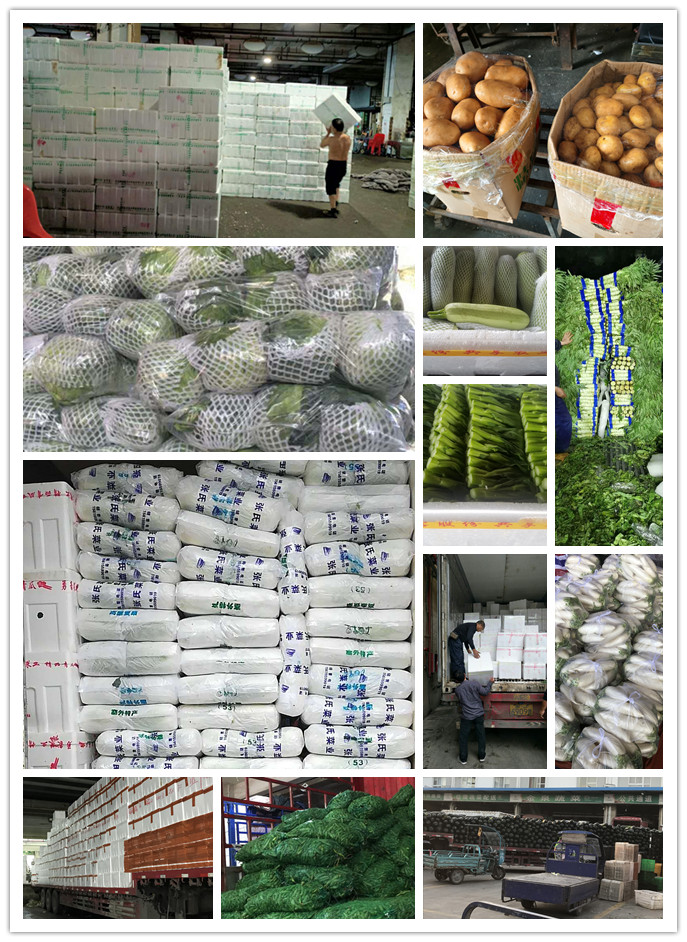 俄罗斯专享会294·VIP(中国区)官方网站