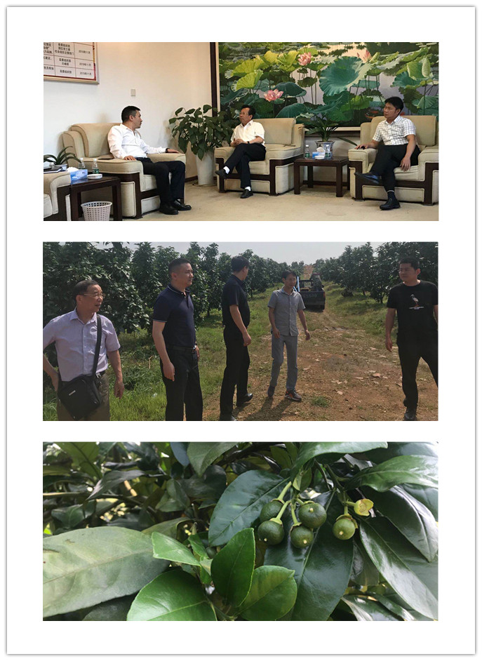 俄罗斯专享会294·VIP(中国区)官方网站