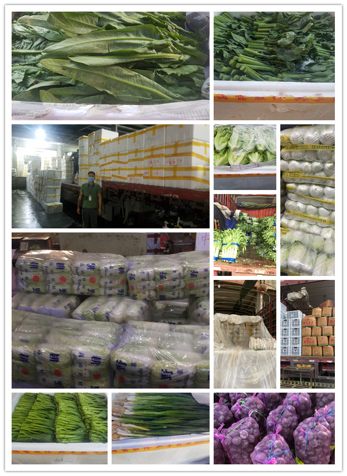 俄罗斯专享会294·VIP(中国区)官方网站