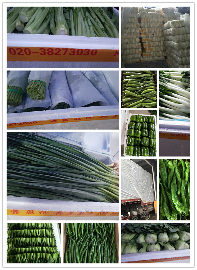 俄罗斯专享会294·VIP(中国区)官方网站