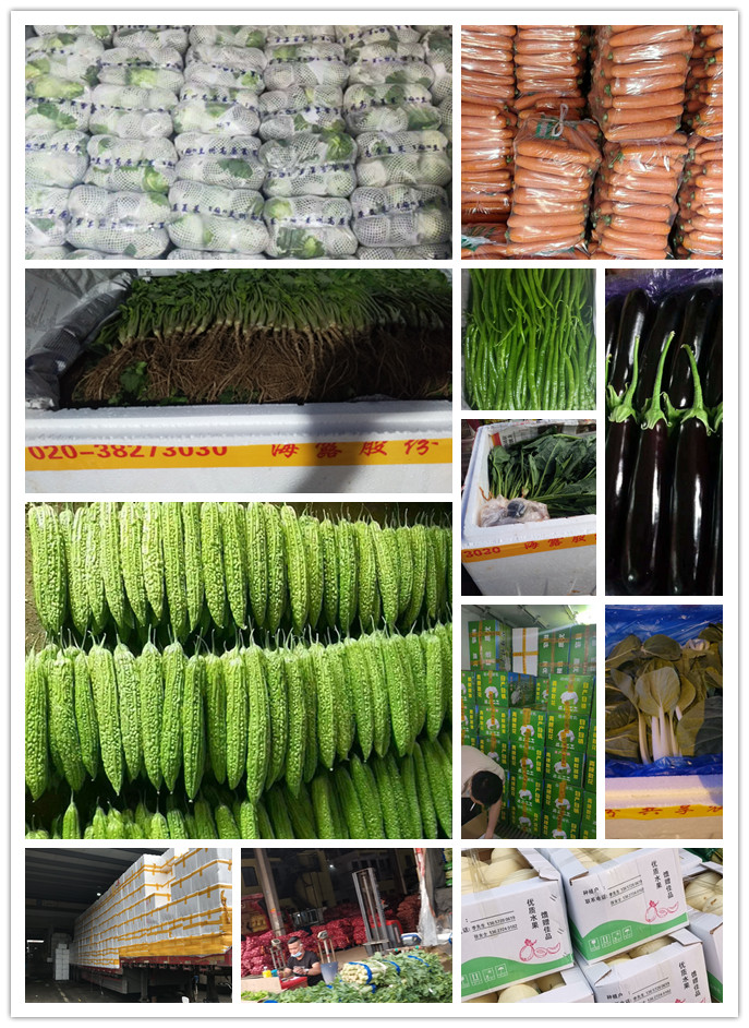 俄罗斯专享会294·VIP(中国区)官方网站