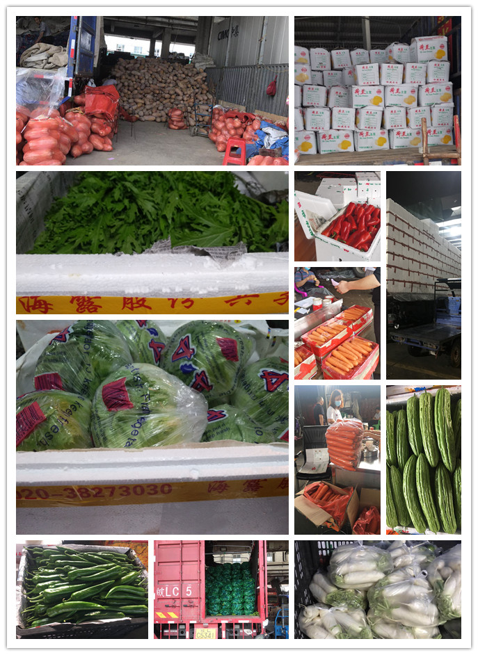 俄罗斯专享会294·VIP(中国区)官方网站