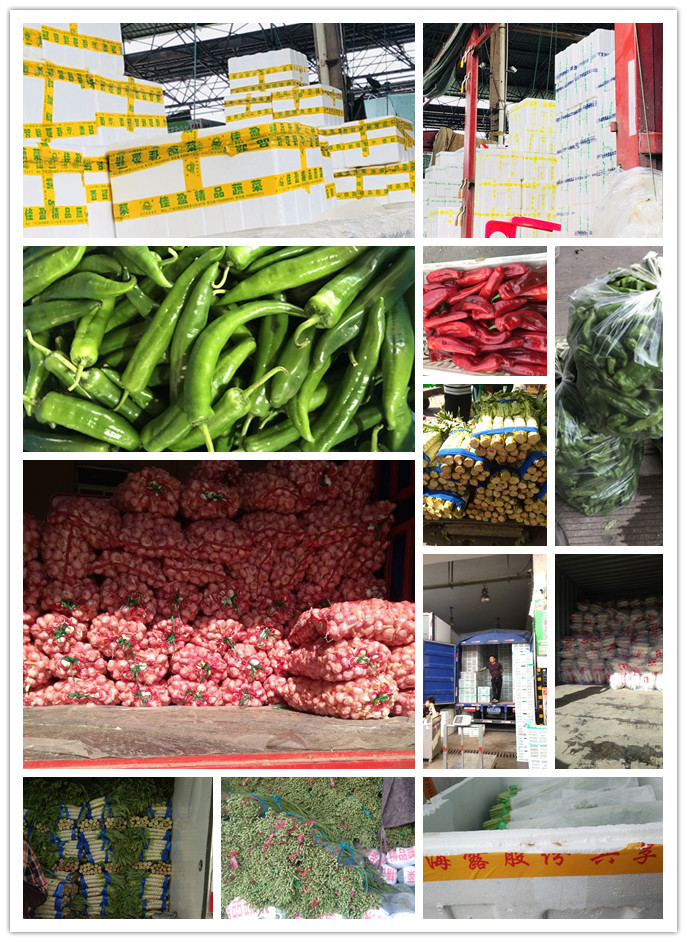 俄罗斯专享会294·VIP(中国区)官方网站