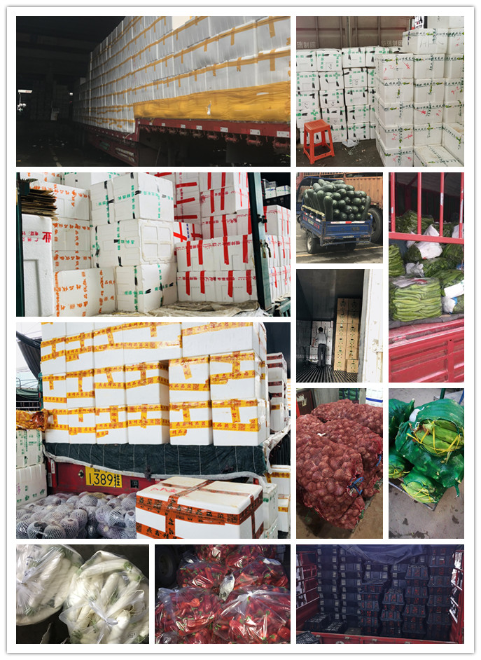 俄罗斯专享会294·VIP(中国区)官方网站