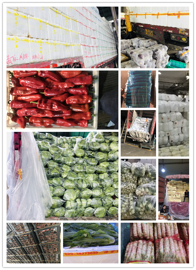 俄罗斯专享会294·VIP(中国区)官方网站