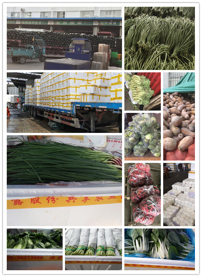 俄罗斯专享会294·VIP(中国区)官方网站