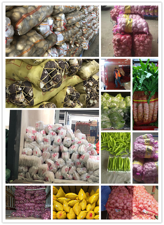 俄罗斯专享会294·VIP(中国区)官方网站