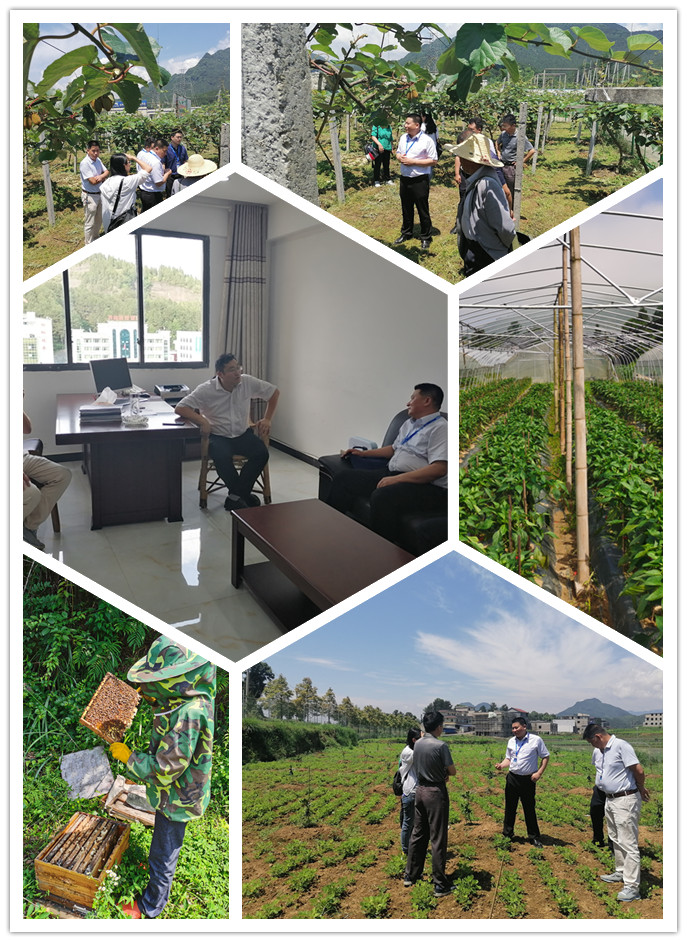 俄罗斯专享会294·VIP(中国区)官方网站