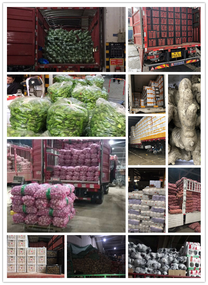 俄罗斯专享会294·VIP(中国区)官方网站