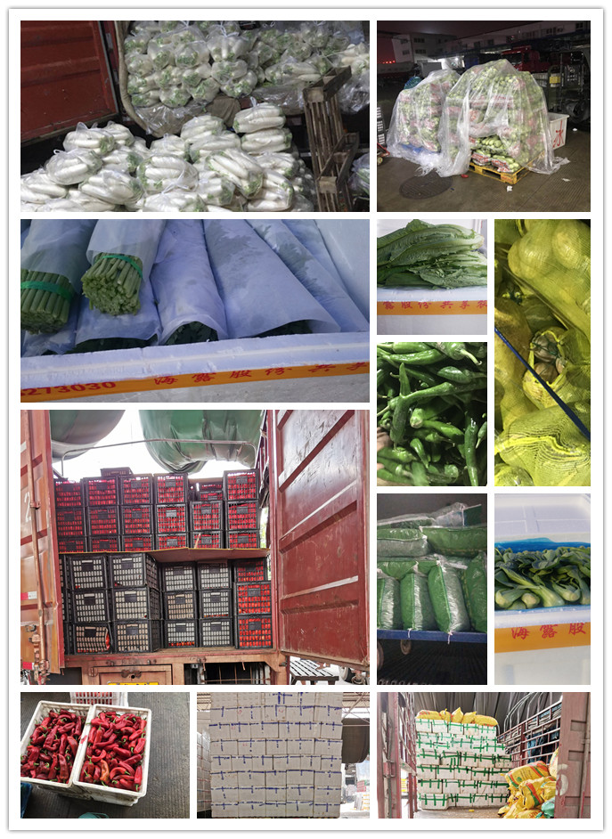 俄罗斯专享会294·VIP(中国区)官方网站