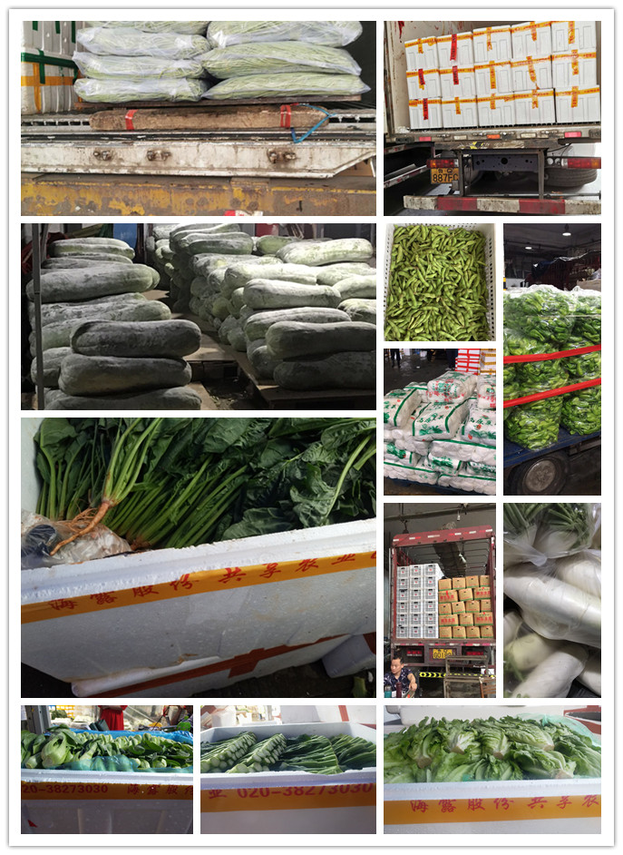 俄罗斯专享会294·VIP(中国区)官方网站