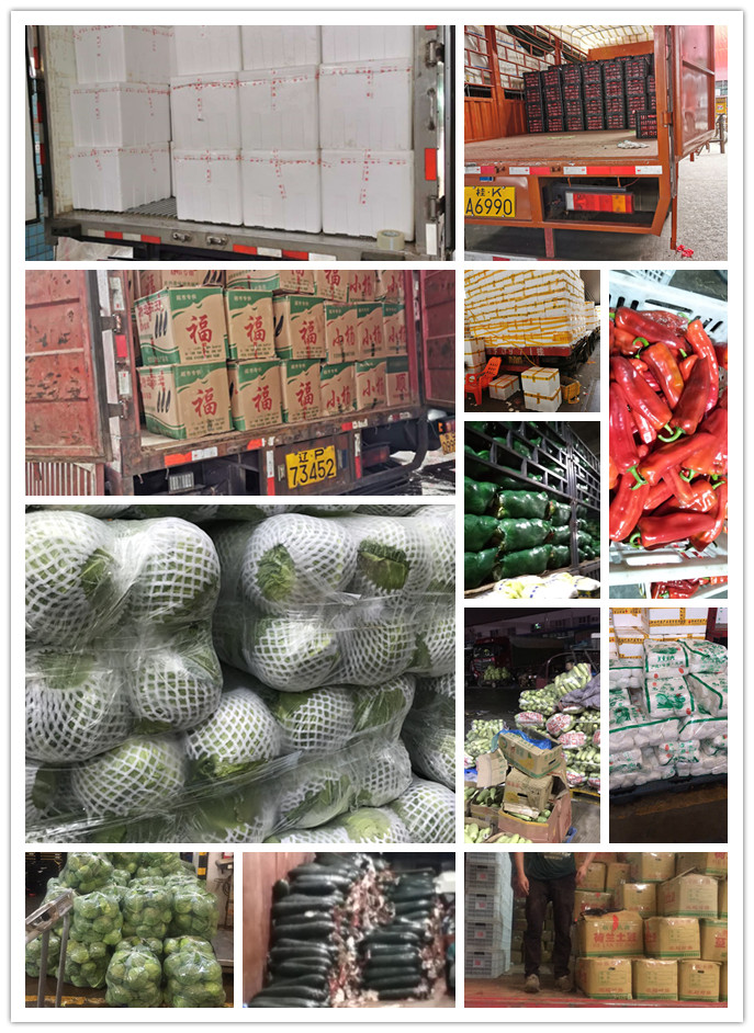 俄罗斯专享会294·VIP(中国区)官方网站