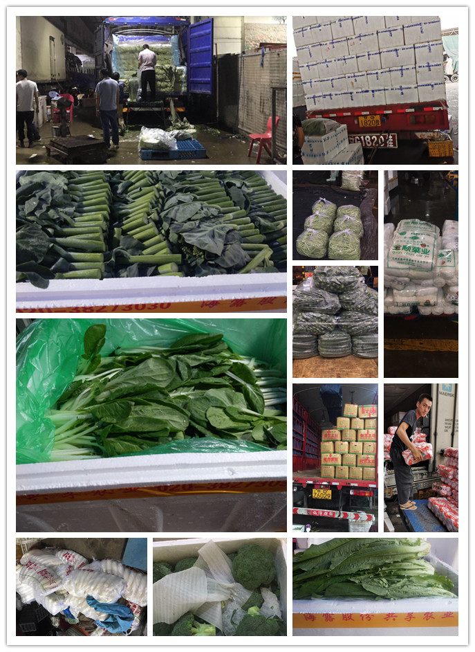 俄罗斯专享会294·VIP(中国区)官方网站