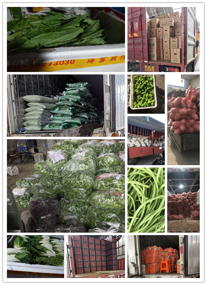 俄罗斯专享会294·VIP(中国区)官方网站