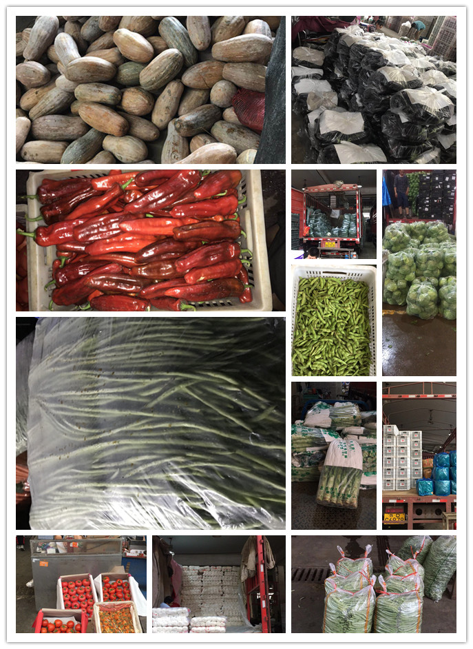 俄罗斯专享会294·VIP(中国区)官方网站