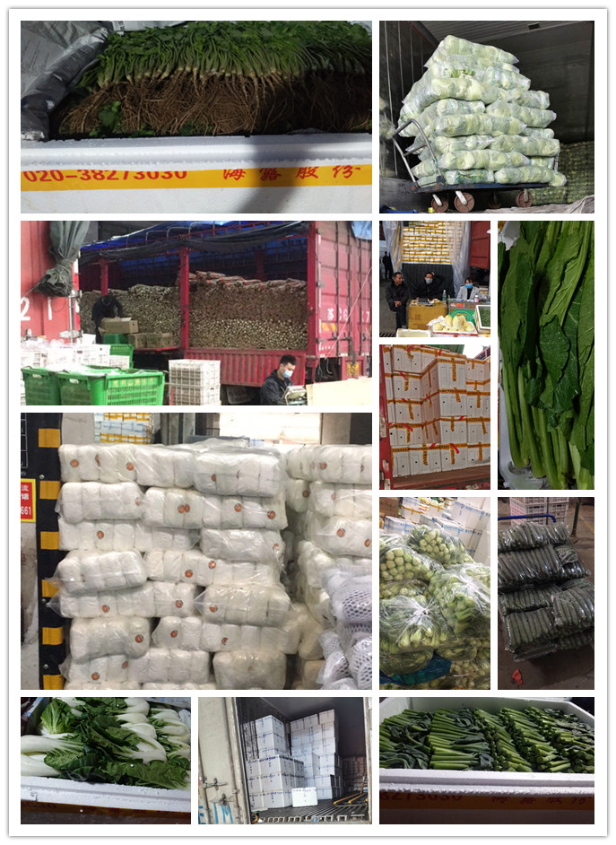 俄罗斯专享会294·VIP(中国区)官方网站