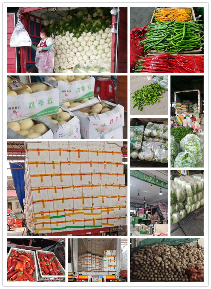 俄罗斯专享会294·VIP(中国区)官方网站