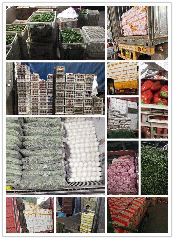 俄罗斯专享会294·VIP(中国区)官方网站