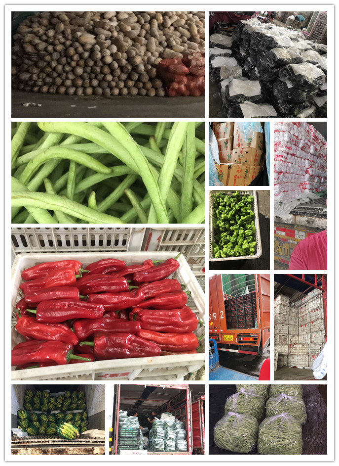 俄罗斯专享会294·VIP(中国区)官方网站