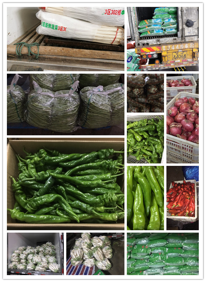 俄罗斯专享会294·VIP(中国区)官方网站