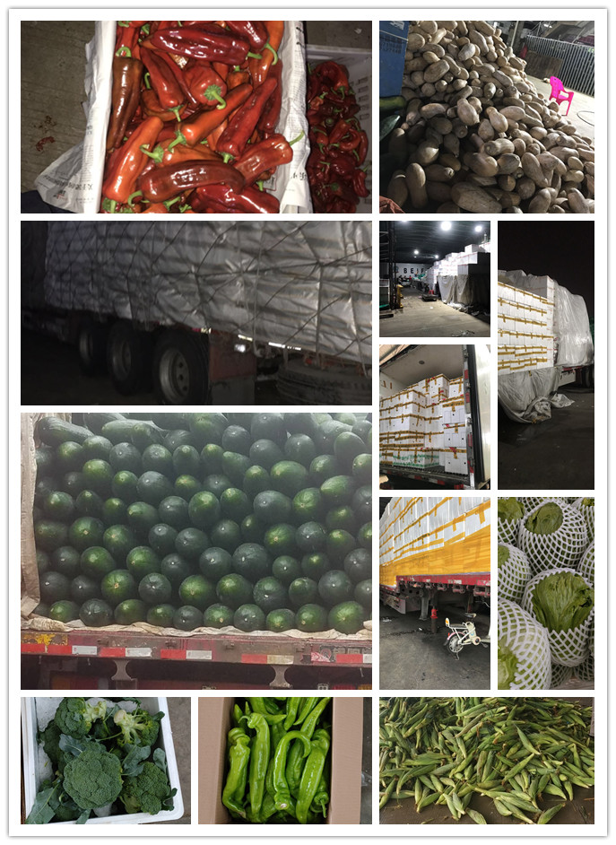 俄罗斯专享会294·VIP(中国区)官方网站