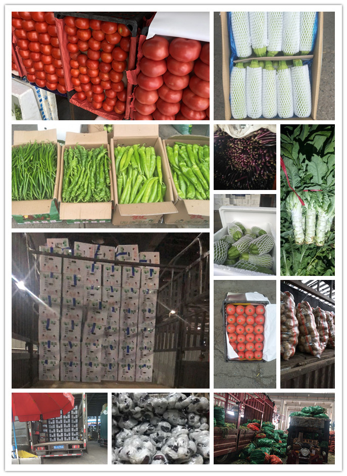 俄罗斯专享会294·VIP(中国区)官方网站