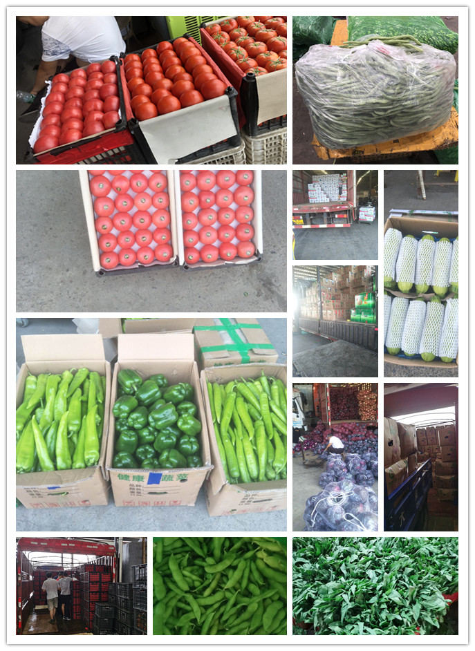 俄罗斯专享会294·VIP(中国区)官方网站