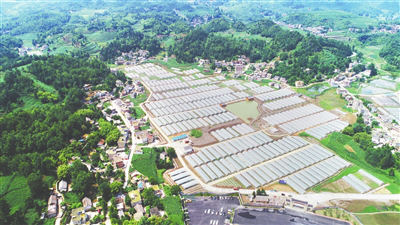 俄罗斯专享会294·VIP(中国区)官方网站