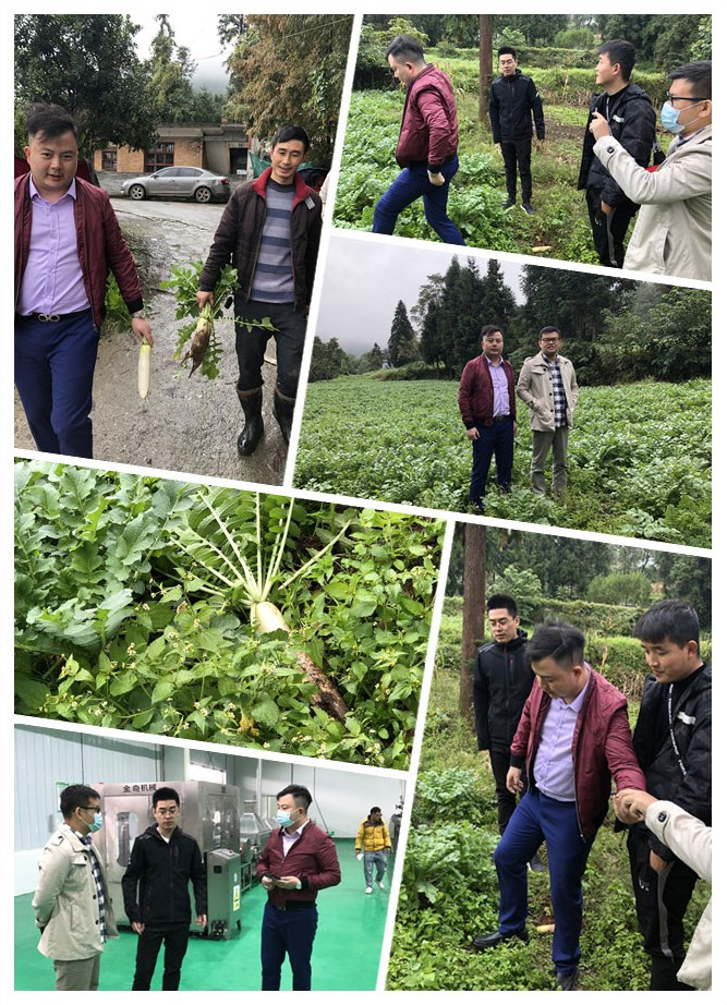 俄罗斯专享会294·VIP(中国区)官方网站