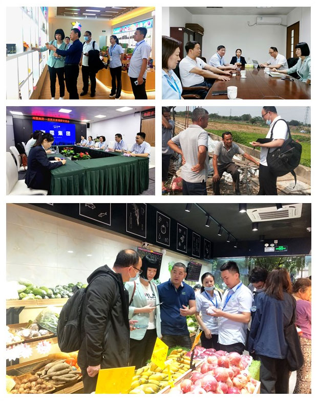 俄罗斯专享会294·VIP(中国区)官方网站