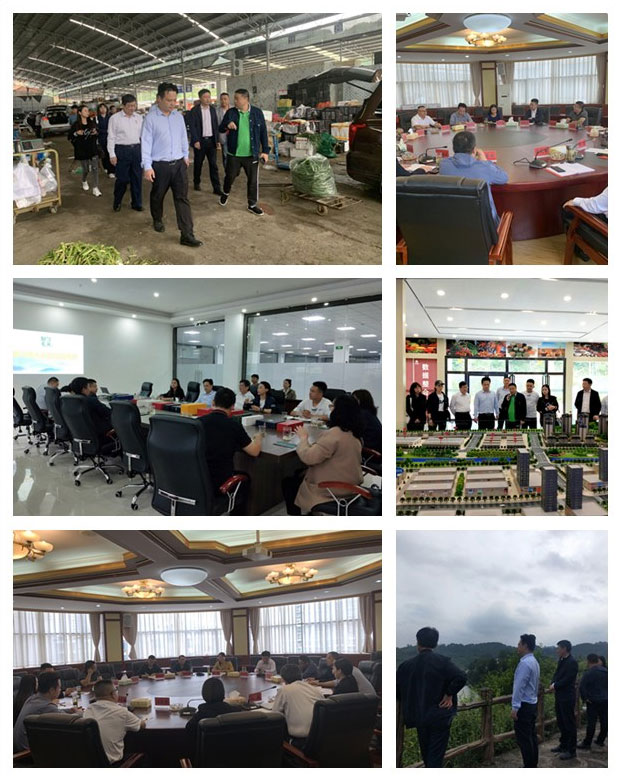 俄罗斯专享会294·VIP(中国区)官方网站