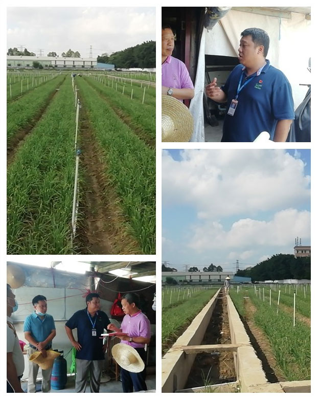 俄罗斯专享会294·VIP(中国区)官方网站