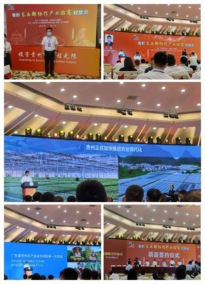 俄罗斯专享会294·VIP(中国区)官方网站