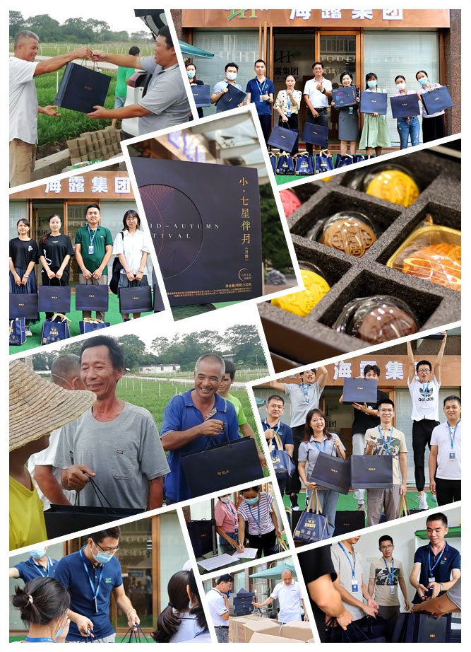 俄罗斯专享会294·VIP(中国区)官方网站