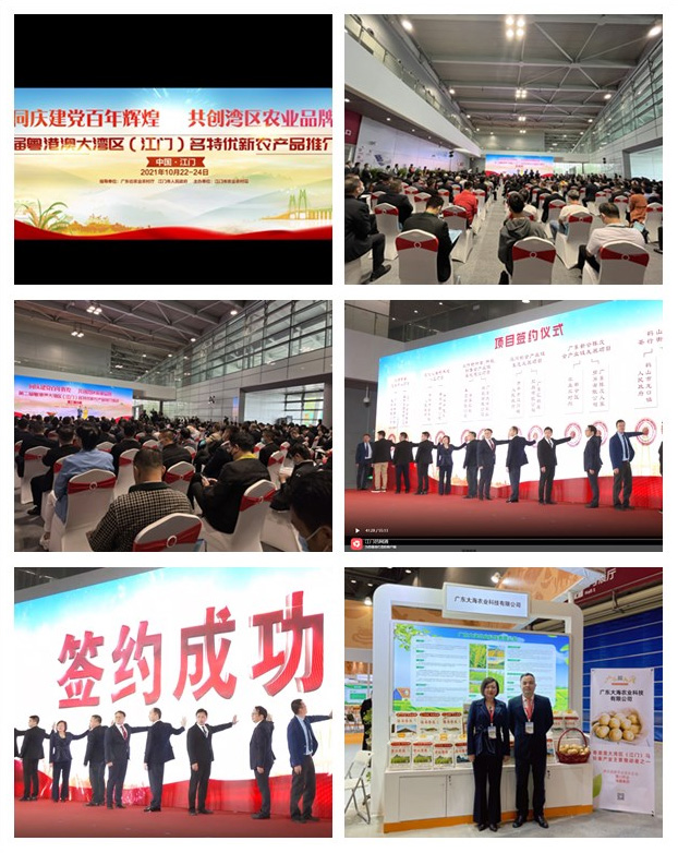 俄罗斯专享会294·VIP(中国区)官方网站